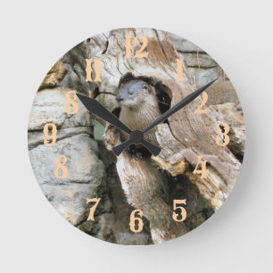 Horloge Ronde Harry Otter