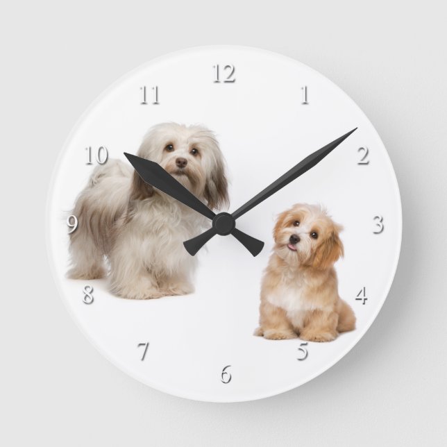 Horloge Ronde Havanese Dog and Puppy Clock (Recto)