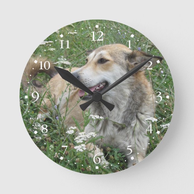 Horloge Ronde Herbe verte Clockface 1 de chien mignon (Recto)