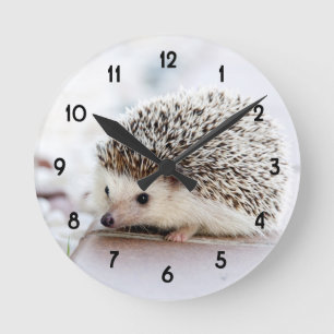 Horloge Ronde Hérisson de bébé doux