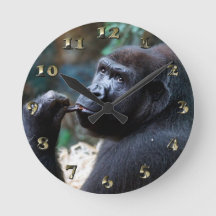 Highland Gorilla - cueillir des dents