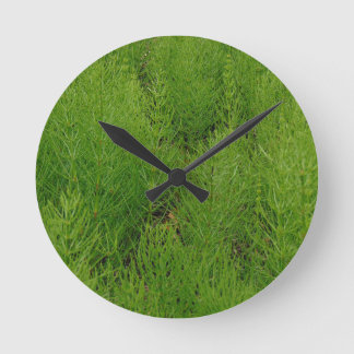 Horloge Ronde Horsetail