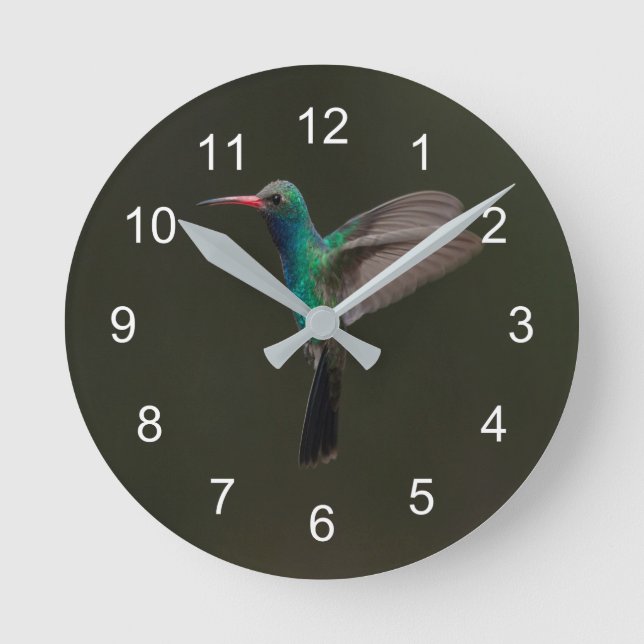 Horloge Ronde Hummingbird en flight (Recto)