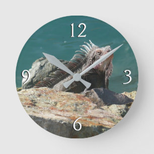 Horloge Ronde Iguane à St-Thomas