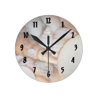 Horloge Ronde image de coquillages de floride beaucoup de coquil