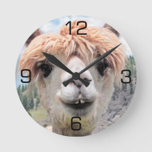 Horloge Ronde Image de sourire mignonne de photo d'alpaga