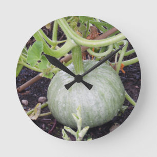 Horloge Ronde Jardin : Citrouille en croissance