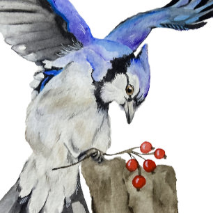 Horloge Ronde Jay bleu d'oiseau de la forêt