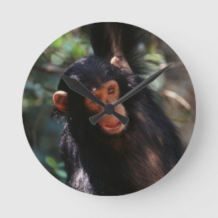 Horloge Ronde Jeune chimpanzé
