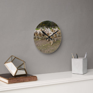 Horloge Ronde Jeune mouton laineux blanc,