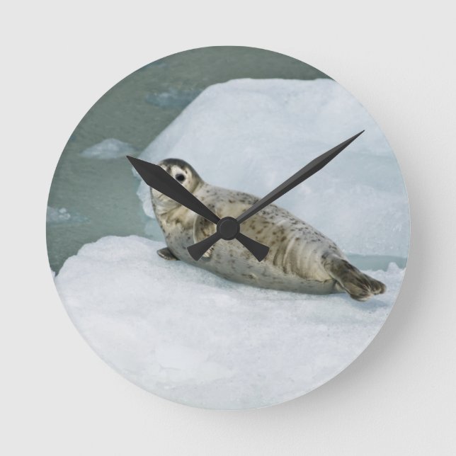 Horloge Ronde Joli phoque du port sur neige (Recto)