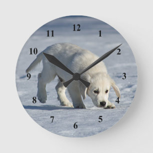 Horloge Ronde Jolie photo blanche de neige de chiot