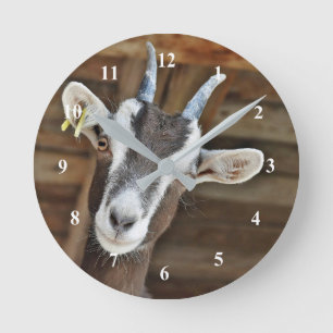 Horloge Ronde Jolie photo de chèvre Brown et blanche