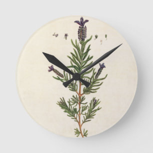 Horloge Ronde La lavande française, plaquent 241 'd'un Herbal