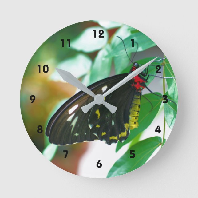 Horloge Ronde La nature des papillons noirs (Recto)
