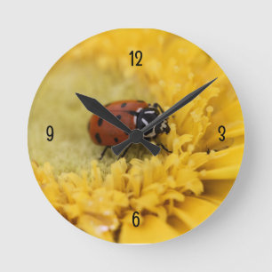 Horloge Ronde Ladybug