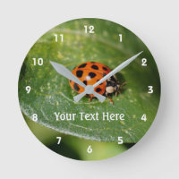 Ladybug Sur La Nature De La Feuille