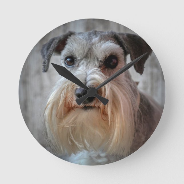 Horloge Ronde Le visage de Schnauzer Dog (Recto)