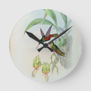 Horloge Ronde L'étoile de Bonaparte a affronté le colibri