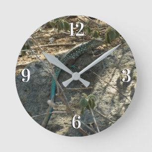 Horloge Ronde Lézard fouetteur arubais Photographie d'animaux tr
