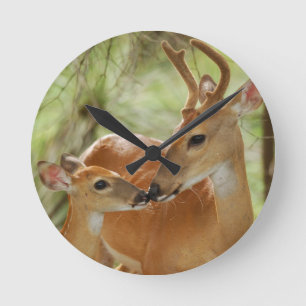 Horloge Ronde Liaison de mâle et de faon de Whitetail