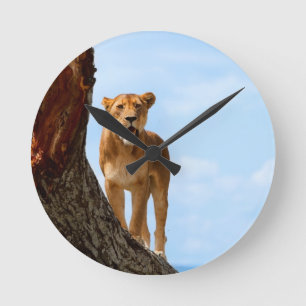 Horloge Ronde Lioness