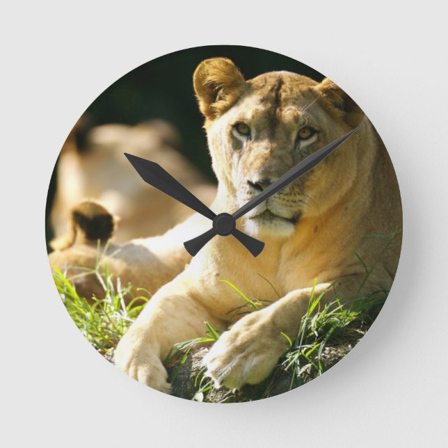 Horloge Ronde Lions (Recto)