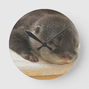 Horloge Ronde Loutre dormant