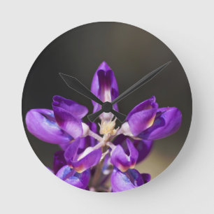 Horloge Ronde Lupine Wonder