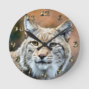 Horloge Ronde Lynx Bobcat Wildlife