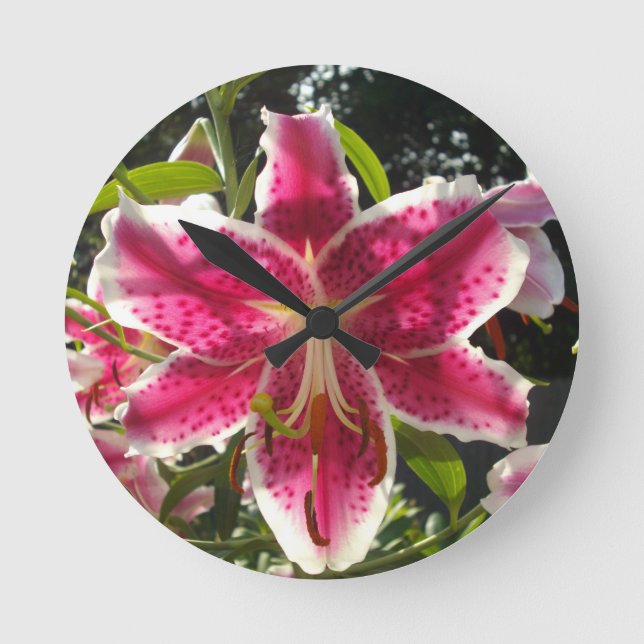 Horloge Ronde Lys roses fleurs tropicales roses rose (Recto)