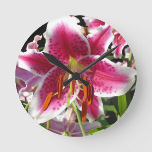 Horloge Ronde Lys roses fleurs tropicales roses rose
