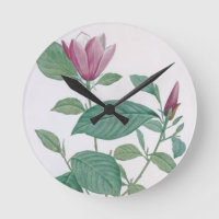 Magnolia discolor, gravée par Legrand (colour lit