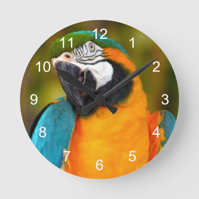 Horloge Ronde Majestic Macaw (Recto)