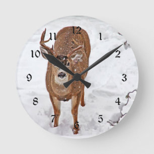 Horloge Ronde Mâle de cerfs communs dans la neige d'hiver