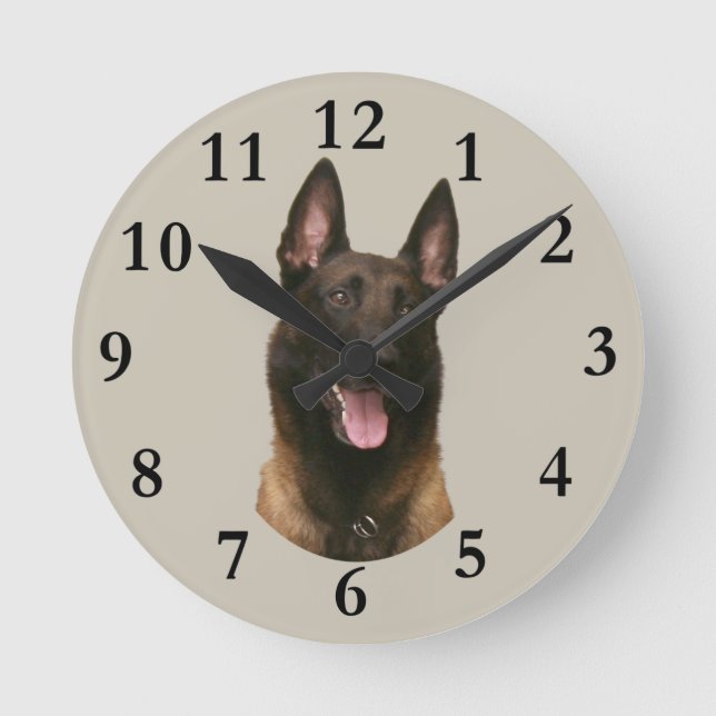 Horloge Ronde malinois belge (Recto)