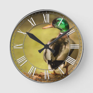 Horloge Ronde Mallard Duck