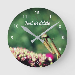 Horloge Ronde Mante religieuse de près Personnalisé