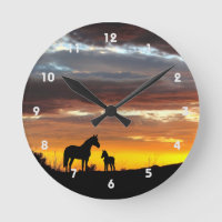 Mare sauvage de Mustang et silhouette de poulain a