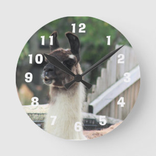 Horloge Ronde Méfiez-vous du lama !