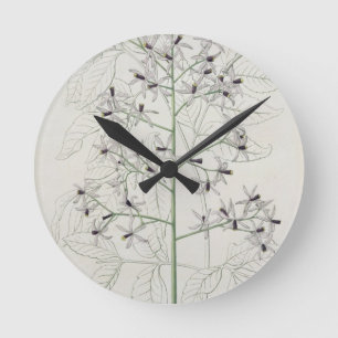 Horloge Ronde Melia Azedarach de "Phytographie Medicale" par Jo