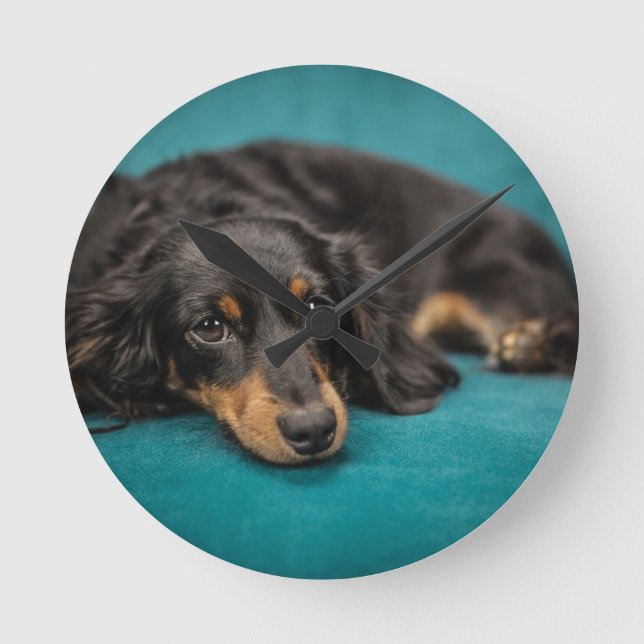 Horloge Ronde Mignet Dachshund Se Pose En Bas (Recto)