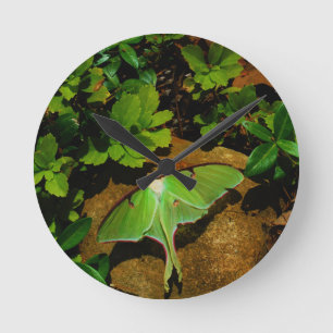 Horloge Ronde Mite de Luna verte géante