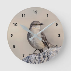 Horloge Ronde Mockingbird sur un rocher