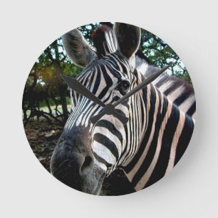 Horloge Ronde Mon ami trippé