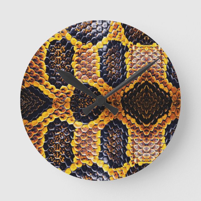 Horloge Ronde motif de peau de serpent de cobra (Recto)