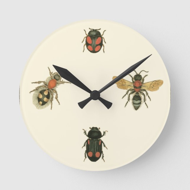 Horloge Ronde Mouches et coléoptères par Vision Studio (Recto)