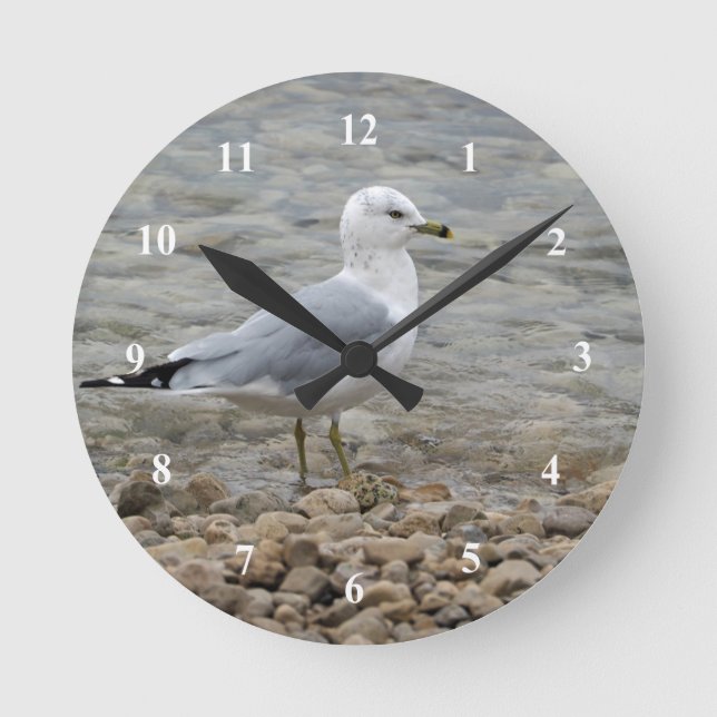 Horloge Ronde Mouette (Recto)