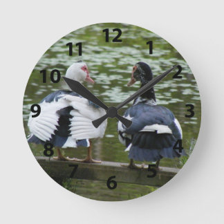 Horloge Ronde Mucovy Ducks Sitting on Bench Clock