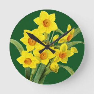 Horloge Ronde Narcisse (N Tazetta)